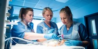 3 student nurses working together