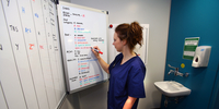 Clinical Skills board